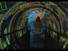-印象莫奈时光映迹艺术展