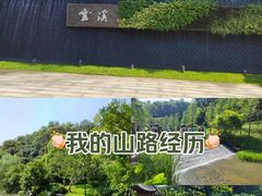 -云溪植物园