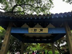 -西湖外事游船(花港观鱼码头)