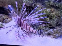 -多彩贵州城极地海洋世界