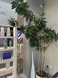 -HaLo hair studio