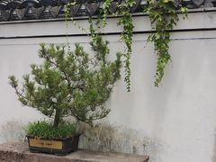 -王阳明故居