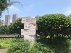-龙头寺公园
