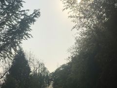 -西安曲江寒窑遗址公园