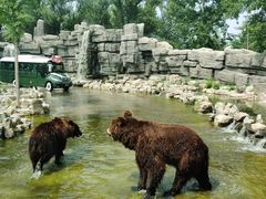 -北京野生动物园