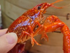 -靓靓蒸虾·头牌蒸虾(雪松路总店)
