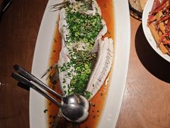 茶油翡翠翘嘴鲌-清水亭湖北菜(大屯DT51店)