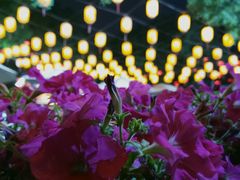 -汉阴白火石汆汤