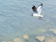 -青海湖二郎剑景区