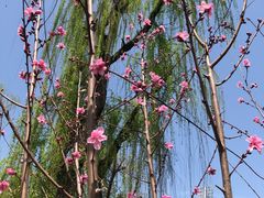 -西北湖绿化广场