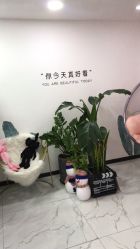 -久匠·野生眉半永久纹眉