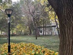-玲珑塔公园