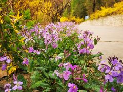 -鹫峰国家森林公园