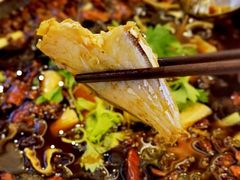 -川道拐耗儿鱼(旗舰店)