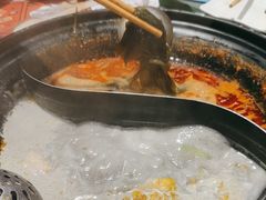 -生活如沸·顺德水牛奶火锅(大学路店)