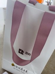 点击看大图 -BR光电保养