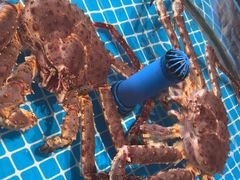 -百富源·海鲜辽菜(张士店)