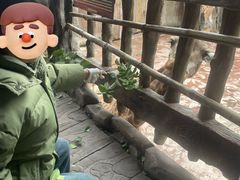 -长鹿旅游休博园