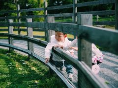 -前小桔亲子创意农场·草莓采摘·露营烧烤