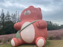 -嘉北郊野公园