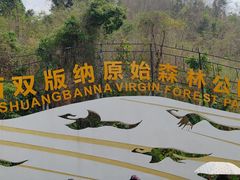 -西双版纳原始森林公园