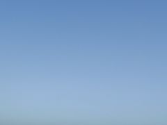-日照海滨国家森林公园