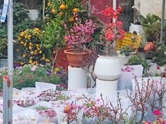 -金陵花卉交易市场