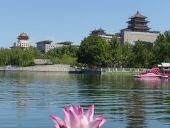 -莲花池公园