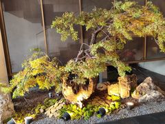 -会仙楼(金融街店)