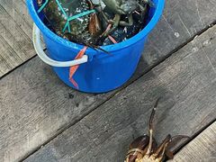 -旗鱼海番村(Orang Asli)