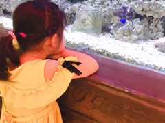 -海鲜e族(马王堆店)