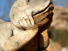 -廊坊固安福朋喜来登酒店