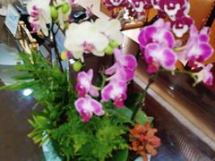 -北京新世纪饭店(动物园地铁站店)