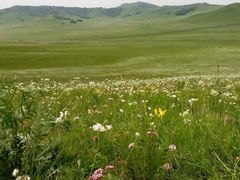 -塞罕坝国家级自然保护区