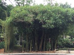 -胡里山炮台
