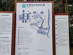-东山雕花楼