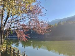 -三塔倒影公园