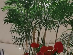 -LANN I 蘭 SPA(陆家嘴中心店)
