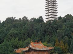 -野鸭湖国家湿地公园