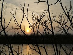 -天津东丽湖风景区