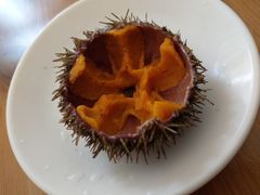 -海胆小馆(东北水饺·春柳店)