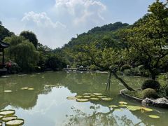 -云溪植物园