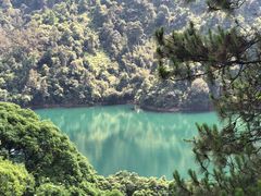 -鼎湖山风景区