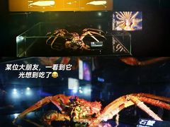 -同济大学四平路校区深海探索馆