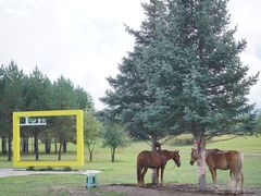 -北极村旅游风景区
