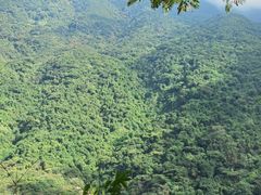 -梧桐山风景名胜区