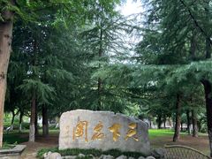-水绘园