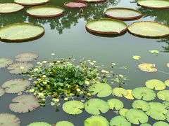 -国家植物园南园