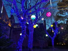 -TIMES CITY OUTLETS 时代·城市·奥特莱斯(上海国际时尚中心店)