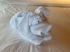 -三亚湾海居铂尔曼度假酒店